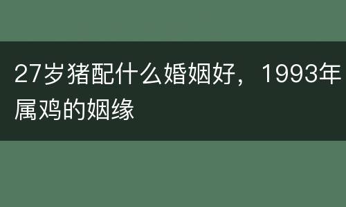 27岁猪配什么婚姻好，1993年属鸡的姻缘