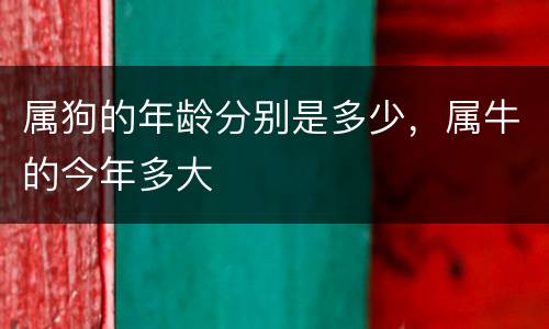 属狗的年龄分别是多少，属牛的今年多大