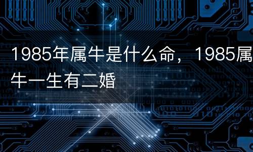 1985年属牛是什么命，1985属牛一生有二婚