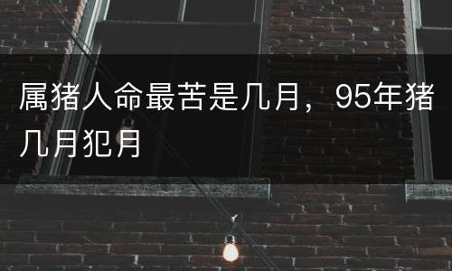 属猪人命最苦是几月，95年猪几月犯月