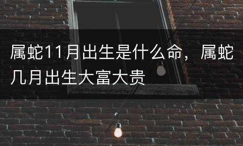属蛇11月出生是什么命，属蛇几月出生大富大贵