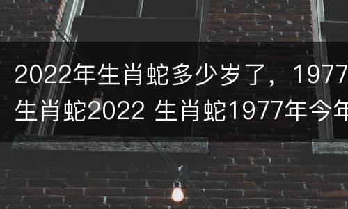 2022年生肖蛇多少岁了，1977生肖蛇2022 生肖蛇1977年今年几岁
