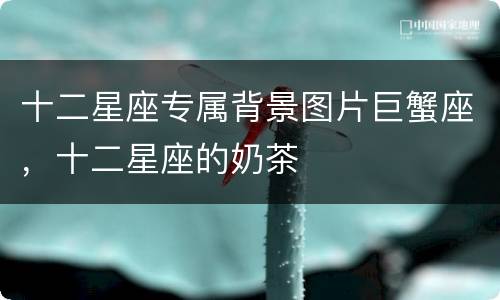 十二星座专属背景图片巨蟹座，十二星座的奶茶