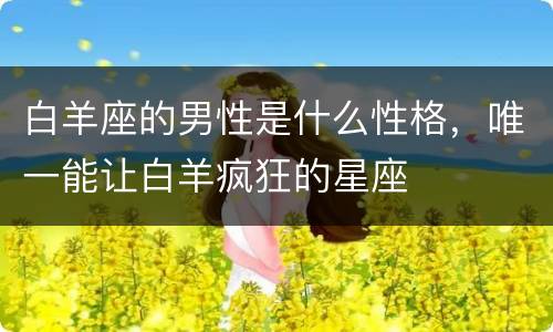 白羊座的男性是什么性格，唯一能让白羊疯狂的星座
