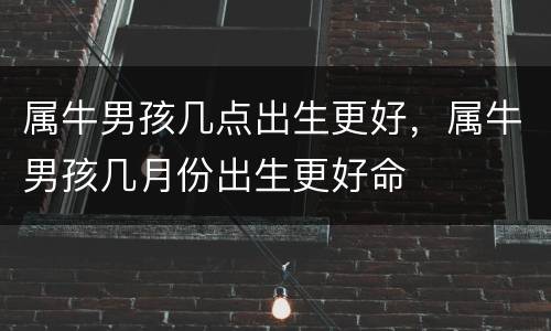 属牛男孩几点出生更好，属牛男孩几月份出生更好命