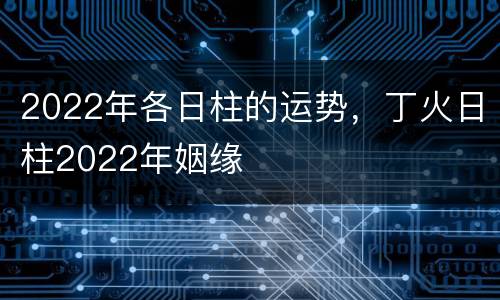 2022年各日柱的运势，丁火日柱2022年姻缘