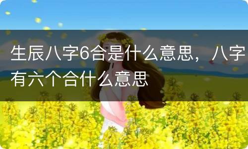 生辰八字6合是什么意思，八字有六个合什么意思