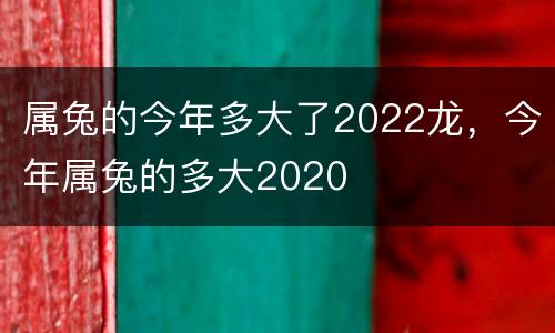 属兔的今年多大了2022龙，今年属兔的多大2020