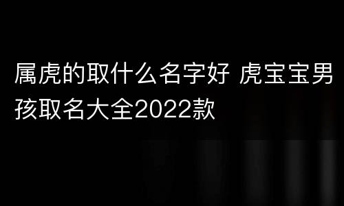 属虎的取什么名字好 虎宝宝男孩取名大全2022款