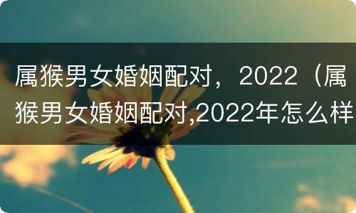 属猴男女婚姻配对，2022（属猴男女婚姻配对,2022年怎么样）