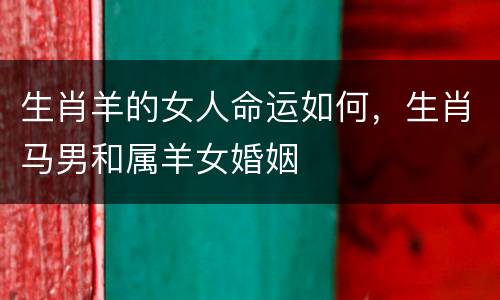 生肖羊的女人命运如何，生肖马男和属羊女婚姻