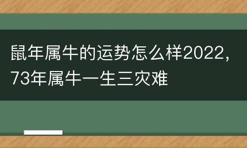 鼠年属牛的运势怎么样2022，73年属牛一生三灾难
