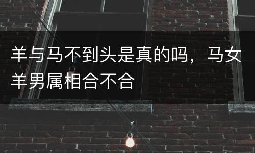 羊与马不到头是真的吗，马女羊男属相合不合
