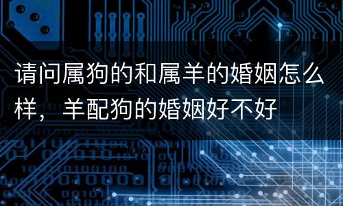 请问属狗的和属羊的婚姻怎么样，羊配狗的婚姻好不好