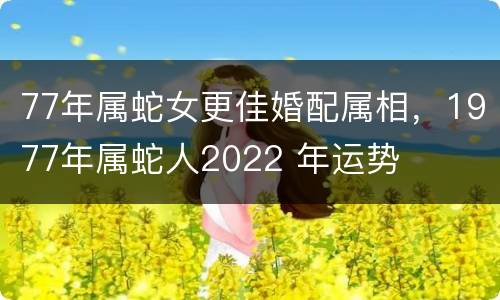 77年属蛇女更佳婚配属相，1977年属蛇人2022 年运势