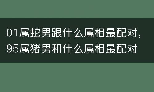 01属蛇男跟什么属相最配对，95属猪男和什么属相最配对