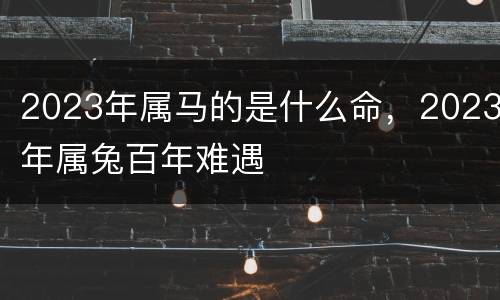 2023年属马的是什么命，2023年属兔百年难遇