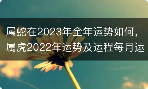 属蛇在2023年全年运势如何，属虎2022年运势及运程每月运程