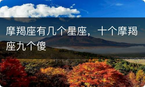 摩羯座有几个星座，十个摩羯座九个傻