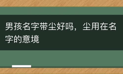 男孩名字带尘好吗，尘用在名字的意境