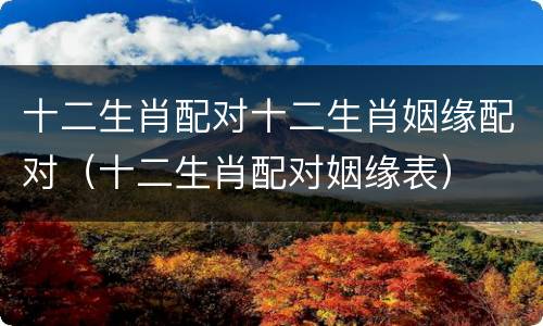 十二生肖配对十二生肖姻缘配对（十二生肖配对姻缘表）