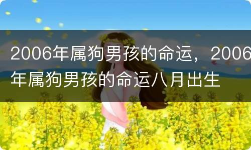 2006年属狗男孩的命运，2006年属狗男孩的命运八月出生