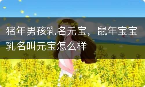 猪年男孩乳名元宝，鼠年宝宝乳名叫元宝怎么样