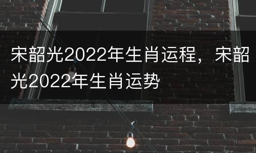 宋韶光2022年生肖运程，宋韶光2022年生肖运势