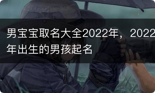 男宝宝取名大全2022年，2022年出生的男孩起名