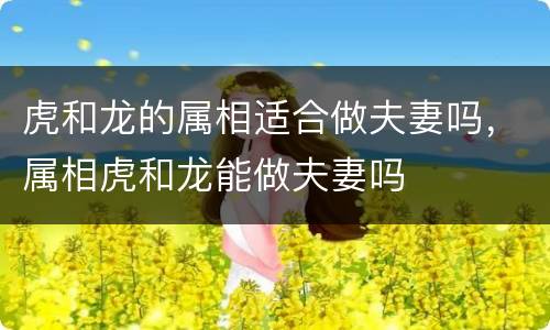 虎和龙的属相适合做夫妻吗，属相虎和龙能做夫妻吗