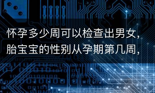 怀孕多少周可以检查出男女，胎宝宝的性别从孕期第几周，就可以看出来了？