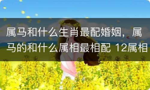 属马和什么生肖最配婚姻，属马的和什么属相最相配 12属相婚配表