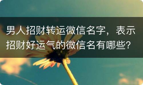 男人招财转运微信名字，表示招财好运气的微信名有哪些？