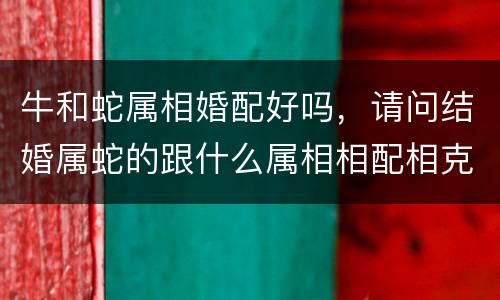 牛和蛇属相婚配好吗，请问结婚属蛇的跟什么属相相配相克