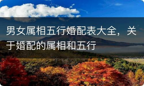 男女属相五行婚配表大全，关于婚配的属相和五行