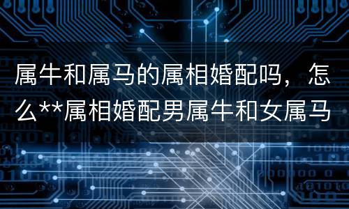属牛和属马的属相婚配吗，怎么**属相婚配男属牛和女属马