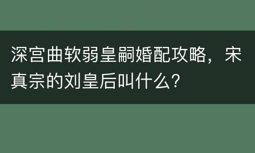 深宫曲软弱皇嗣婚配攻略，宋真宗的刘皇后叫什么?
