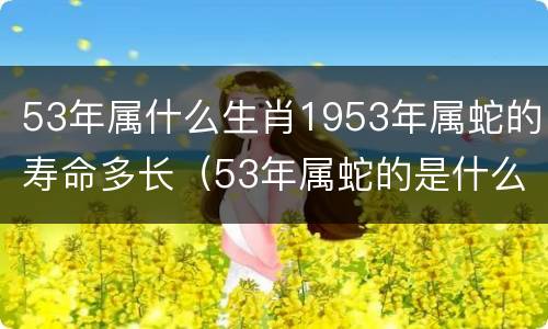 53年属什么生肖1953年属蛇的寿命多长（53年属蛇的是什么）