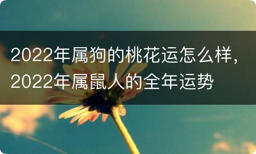 2022年属狗的桃花运怎么样，2022年属鼠人的全年运势
