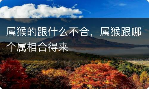 属猴的跟什么不合，属猴跟哪个属相合得来