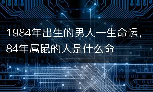 1984年出生的男人一生命运，84年属鼠的人是什么命