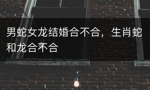 男蛇女龙结婚合不合，生肖蛇和龙合不合