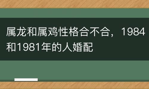 属龙和属鸡性格合不合，1984和1981年的人婚配
