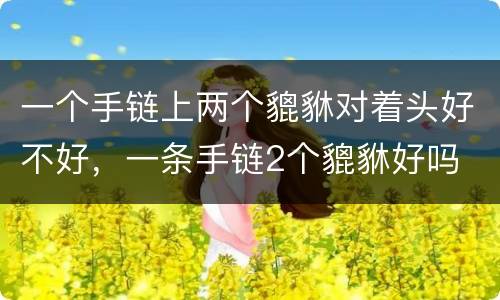 一个手链上两个貔貅对着头好不好，一条手链2个貔貅好吗
