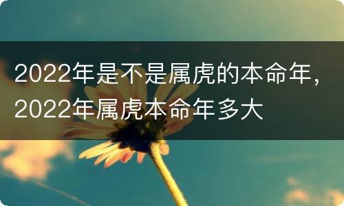 2022年是不是属虎的本命年，2022年属虎本命年多大