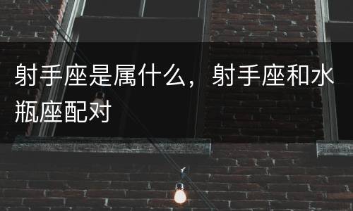 射手座是属什么，射手座和水瓶座配对
