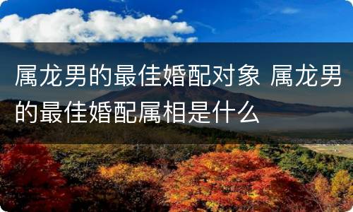 属龙男的最佳婚配对象 属龙男的最佳婚配属相是什么