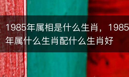 1985年属相是什么生肖，1985年属什么生肖配什么生肖好