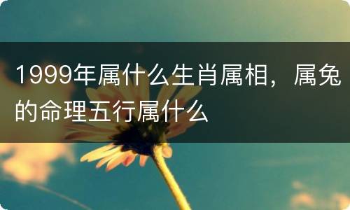 1999年属什么生肖属相，属兔的命理五行属什么