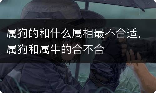 属狗的和什么属相最不合适，属狗和属牛的合不合